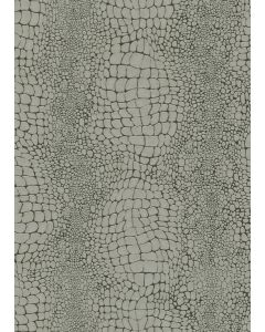 10529-11 Cameo Tapete iz flisa Tapetedekor 