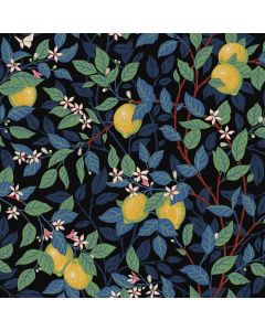 5703 Orangeri Easy up Tapetedecor 