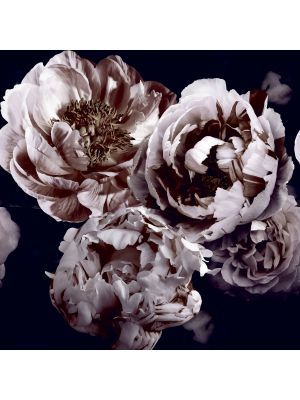 26778 Rose Dusty Lilac Fototapete iz flisa Tapetedekor 