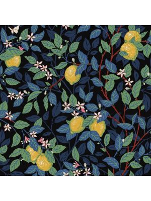 5703 Orangeri Easy up Tapetedecor 