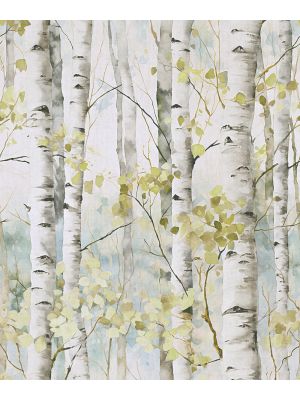 A77301 Betula Fototapete iz vinyla Tapetedekor
