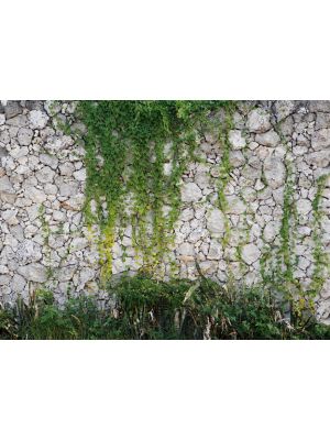 18-DD118793 Stonewall Fototapeta flis 350×255 cm