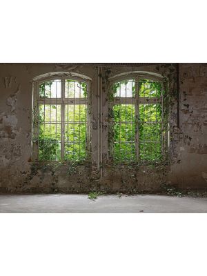 19-DD118794 Old Window Fototapeta flis 350×255 cm