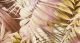 170703 NOMAD-Antigua Palm Tapete iz flisa Tapetedekor 