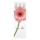 DO-067 PINK GERBERA (design obešalnik)