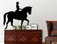 C-359 GRAND PRIX RIDER (stenske-nalepke)