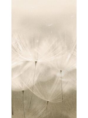 203801 Dandelion Fototapete iz vinyla Tapetedekor